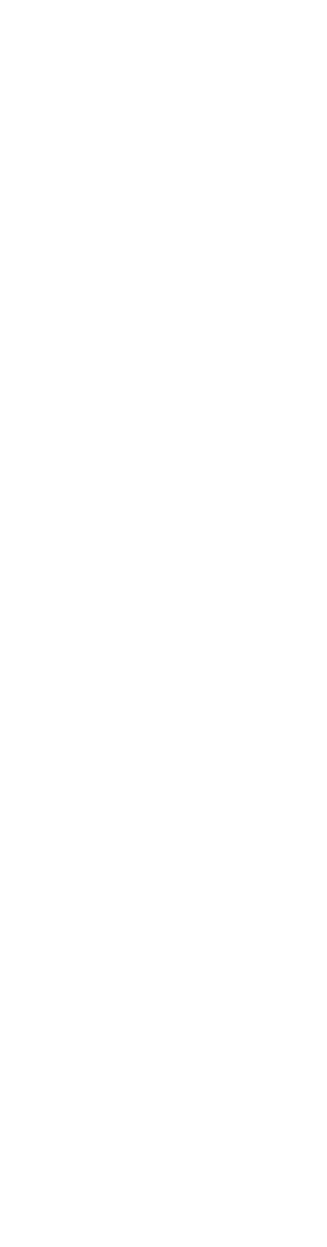 ダイナの流儀